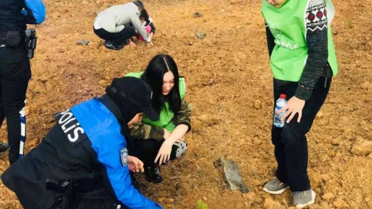 Milli Ağaçlandırma Günü'nde öğrenciler fidanları toprakla buluşturdu