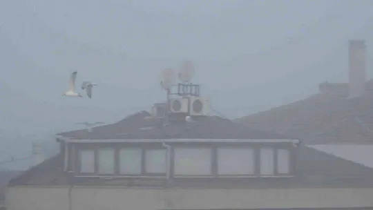 Mimar Sinan'ın ustalık eseri Selimiye gözden kayboldu