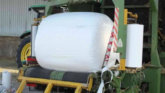 Mısır silajına ilgi arttı