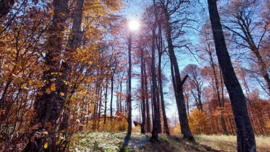 Muhteşem sonbahar fotoğrafları
