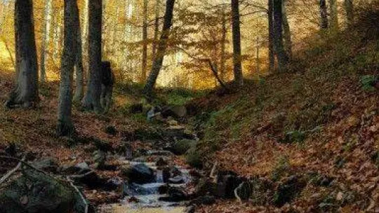 Muhteşem sonbahar fotoğrafları