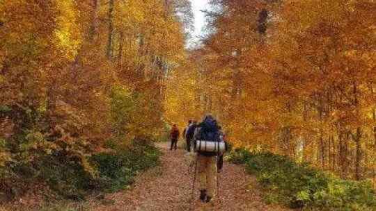 Muhteşem sonbahar fotoğrafları