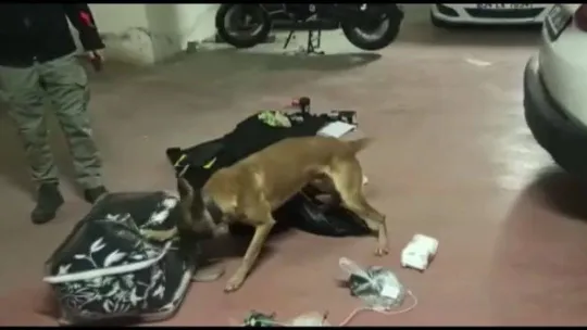 Narkotik dedekiflerini şaşırtan zula