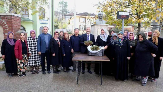 Nilüfer Belediyesi'nden kadın üreticilere 100 bin çilek fidesi