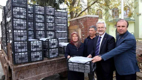 Nilüfer Belediyesi'nden kadın üreticilere 100 bin çilek fidesi