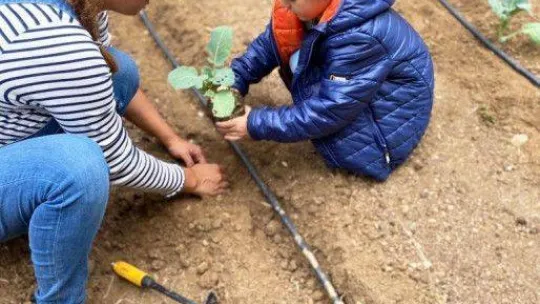 Nilüfer'de geleceğin çiftçileri tarım öğreniyor