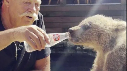 Nuri Alço'dan yavru ayıya gazoz