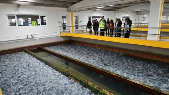 ODTÜ öğrencileri İvedik İçme Suyu Arıtma Tesisi'ni ziyaret etti