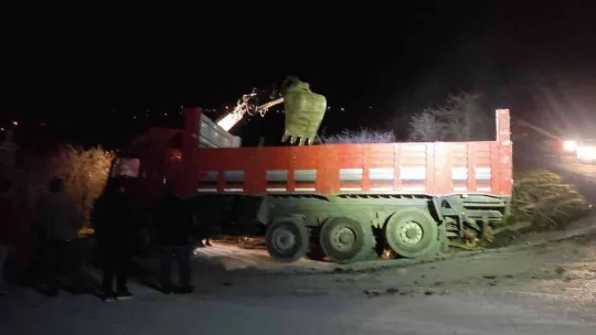 Odun yüklü kamyon devrildi