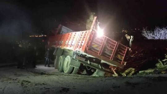 Odun yüklü kamyon devrildi