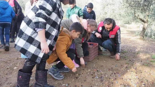 Öğrenciler zeytinin 'yağ'a dönüşüm serüvenine şahitlik ettiler