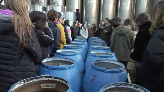 Öğrenciler zeytinin yağa dönüşümünü izledi