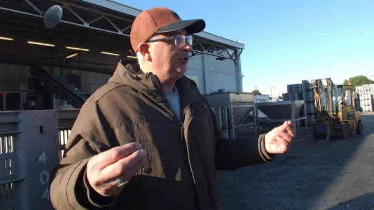 Öğrenciler zeytinin yağa dönüşümünü izledi