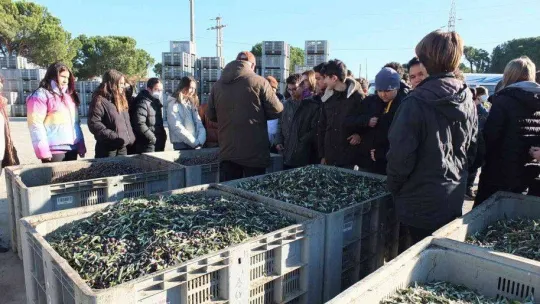 Öğrenciler zeytinin yağa dönüşümünü izledi