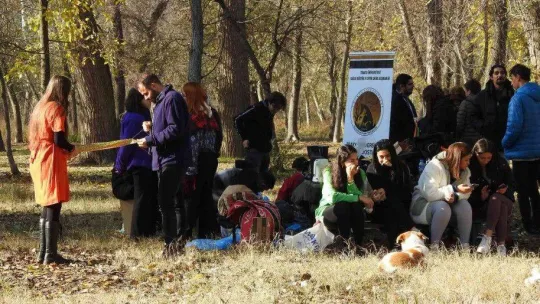 Öğrencilerden duyarlı davranış: Atık kumaşlardan sokak hayvanları için battaniye yaptılar