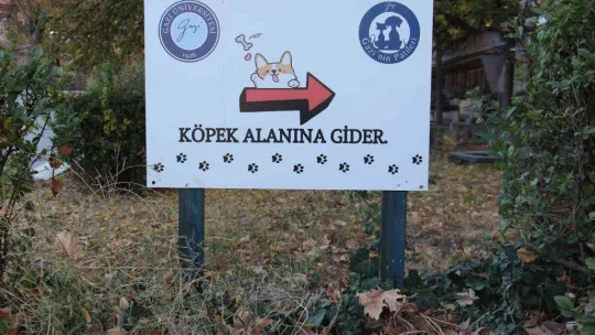 Öğretim Görevlisi Altınbaş, kendi imkanlarıyla kampüsteki köpeklere bakıyor