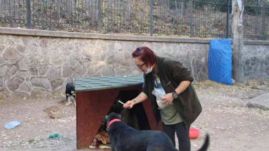 Öğretim Görevlisi Altınbaş, kendi imkanlarıyla kampüsteki köpeklere bakıyor