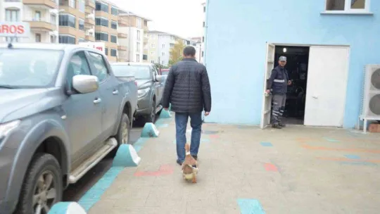 Ördeğiyle gezen adam: Sokakta, parkta bir an olsun sahibinin peşini bırakmıyor