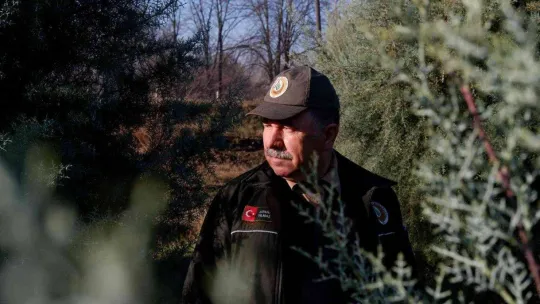 Ormancılar, yılbaşı öncesi çam ağacı kesimine karşı nöbette