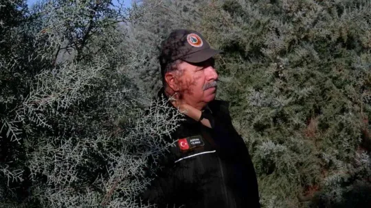 Ormancılar, yılbaşı öncesi çam ağacı kesimine karşı nöbette