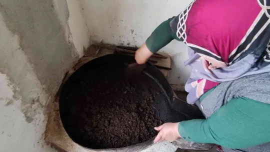 Ormandan toplanan meyvenin yağını gram gram çıkartıyorlar