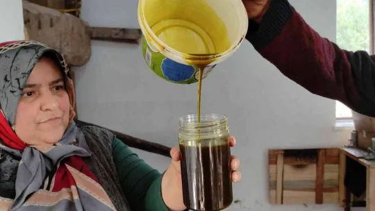 Ormandan toplanan meyvenin yağını gram gram çıkartıyorlar