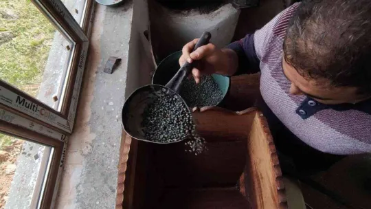 Ormandan toplanan meyvenin yağını gram gram çıkartıyorlar