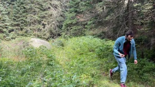 Ormanlara giriş yasağı bitti, dağ tutkunları yeşilliklere akın etti