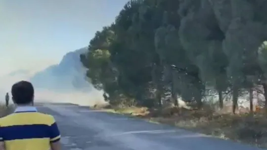 Ormanlık alanda çıkan yangın korkuttu