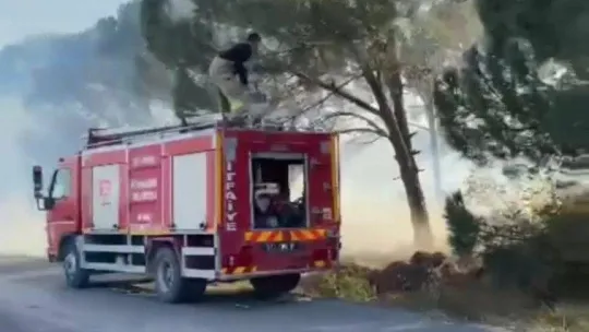 Ormanlık alanda çıkan yangın korkuttu