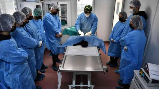 Osmangazi'de her canlı değerli