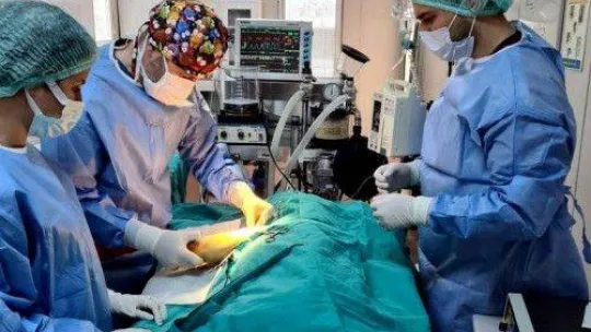 Osmangazi'de her canlı değerli