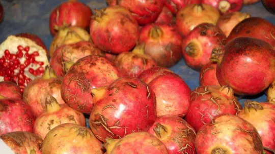 Osmanlı saraylarının nar ihtiyacının yarısını karşılayan Bilecik'te nar yerinde 5, pazarda ise 10 TL