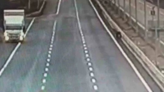 Otobüsün camına çarpan şahini duyarlı sürücü kurtardı, o anlar kamerada