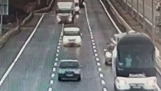 Otobüsün camına çarpan şahini duyarlı sürücü kurtardı, o anlar kamerada