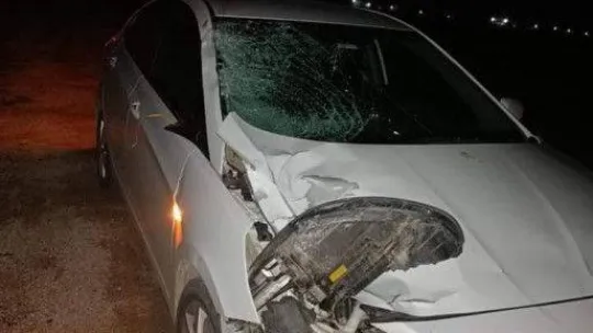 Otomobilin çarptığı yaya hayatını kaybetti