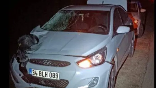 Otomobilin çarptığı yaya hayatını kaybetti