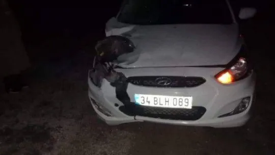 Otomobilin çarptığı yaya hayatını kaybetti