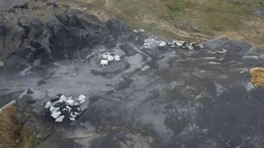 Otoyol kenarına kaçak şekilde bırakılan kimyasal madde paniğe neden oldu