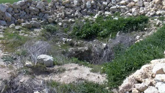 (Özel)  Dr. Öğretim Üyesi Mithat Atabay: Tarihsel anlamda Troya Savaşı'na saygı gösterilmiş