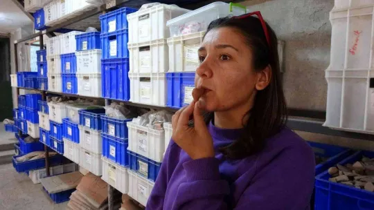 (Özel) Assos'ta çocuk mezarlarına hediye olarak konulan 2 bin yıllık düdük bulundu