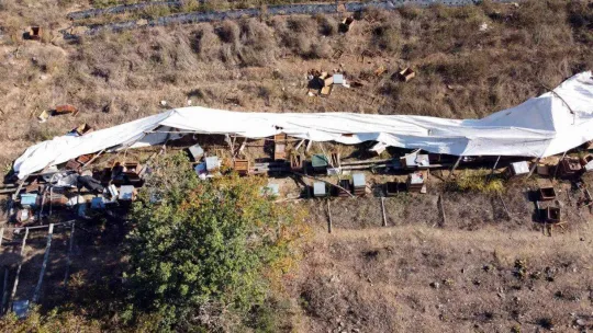 (Özel) Ayı ailesi arı çiftliğini bastı...Bal dolu kovanları yiyip dağıttılar