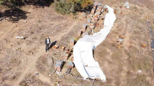 (Özel) Ayı ailesi arı çiftliğini bastı...Bal dolu kovanları yiyip dağıttılar