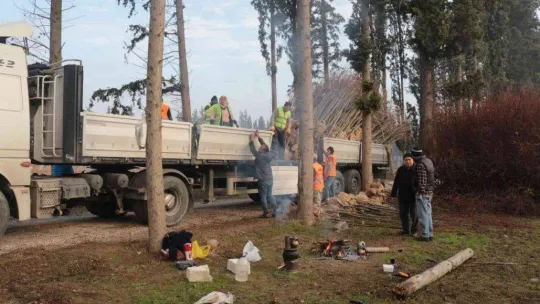 (Özel) Balıkesir'de üretilen 11,5 milyon fidan dünyayı yeşillendiriyor