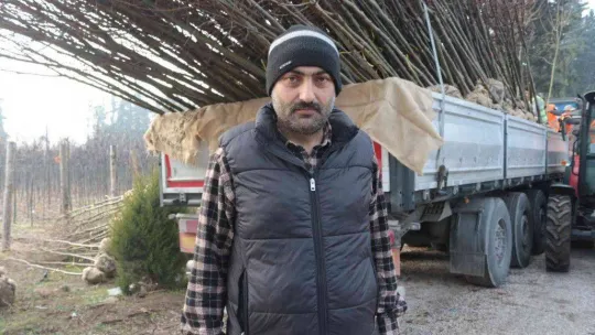 (Özel) Balıkesir'de üretilen 11,5 milyon fidan dünyayı yeşillendiriyor