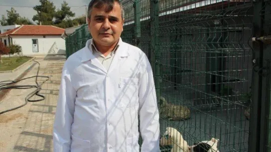 (ÖZEL) Bilecik'te 800 kedi ve 2 bin köpeği kısırlaştırıp çip takıldı