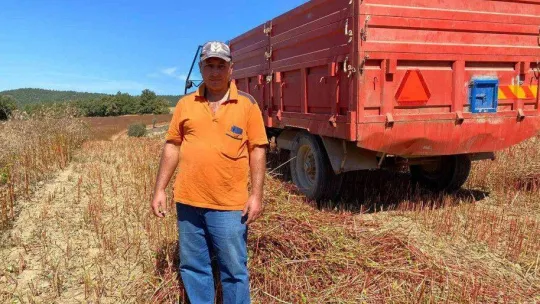 (ÖZEL) Bu buğday çölyak hastaları için çok önemli
