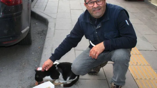 (ÖZEL) Bu kedi mama parası biriktirmek için kaldırımda bekliyor