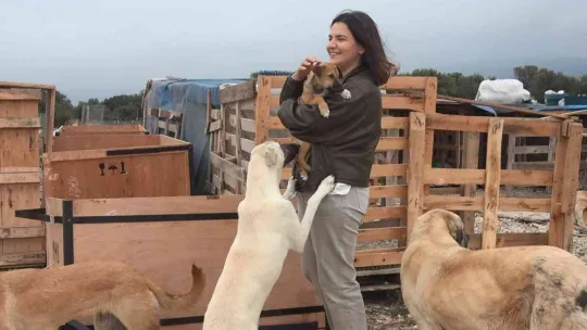 (Özel) Bursa'da 16 gönüllü, kurdukları barınakta 300 sokak hayvanına bakıyor