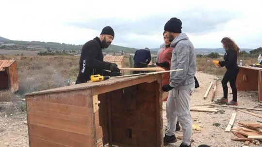 (Özel) Bursa'da 16 gönüllü, kurdukları barınakta 300 sokak hayvanına bakıyor